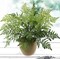 Durable 28" All-Weather Leather Fern Bush - Versatile Faux Greenery for Indoor & Outdoor Decor, Landscaping, and Events